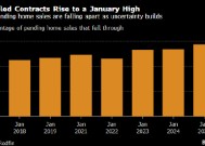 美国1月买房合同取消率创历年同期最高 诸多不确定因素困扰购房者
