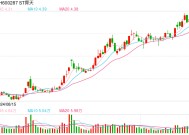 百亿财务造假，用上百账户操纵股价……资本市场十大典型案件还有哪些？