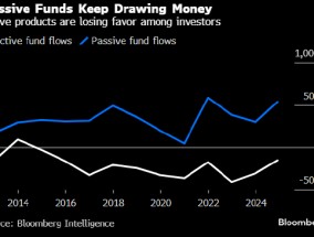 指数基金2024年吸金5,000亿美元 重燃华尔街对被动投资的争论