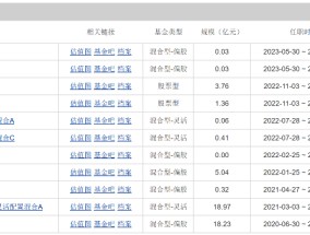 闪电上岗新东家 公募投研副总周小波旋即“重出江湖” 履职海富通副总经理