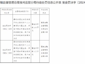 年安保险销售服务有限公司宝鸡分公司被罚1.8万元：因客户告知书未包含纠纷解决方式等违法违规行为