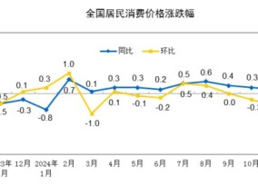 国家统计局：11月份居民消费价格同比上涨0.2%