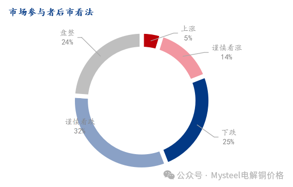 Mysteel调研：中国铜市情绪调研（2025.1.3）